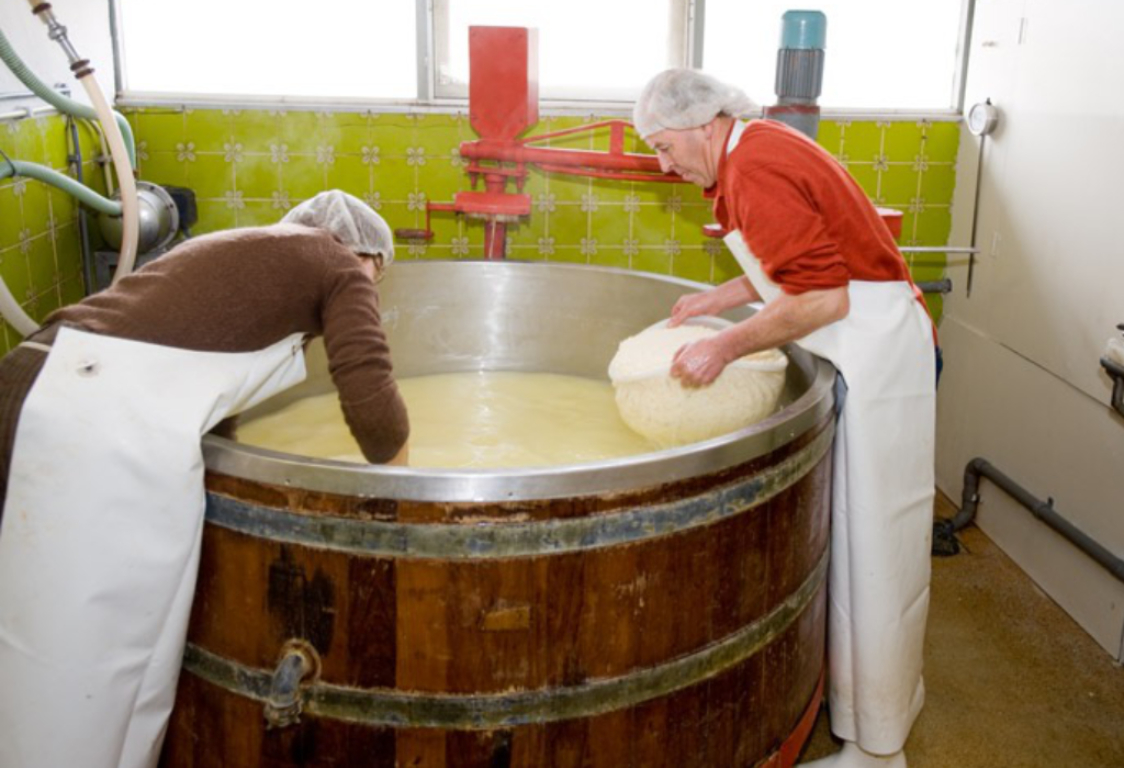 dewilligen rederijstichtsvecht-003